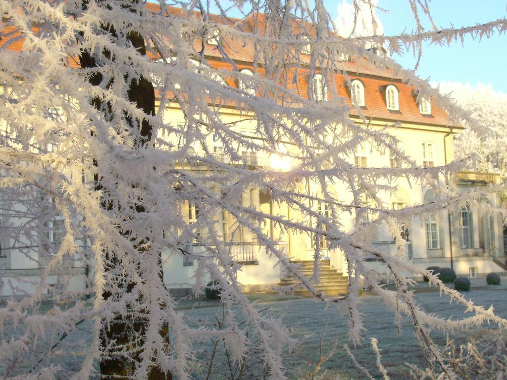 Hotel Schloss Storkau Bagian luar foto